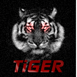 Тигр#4555